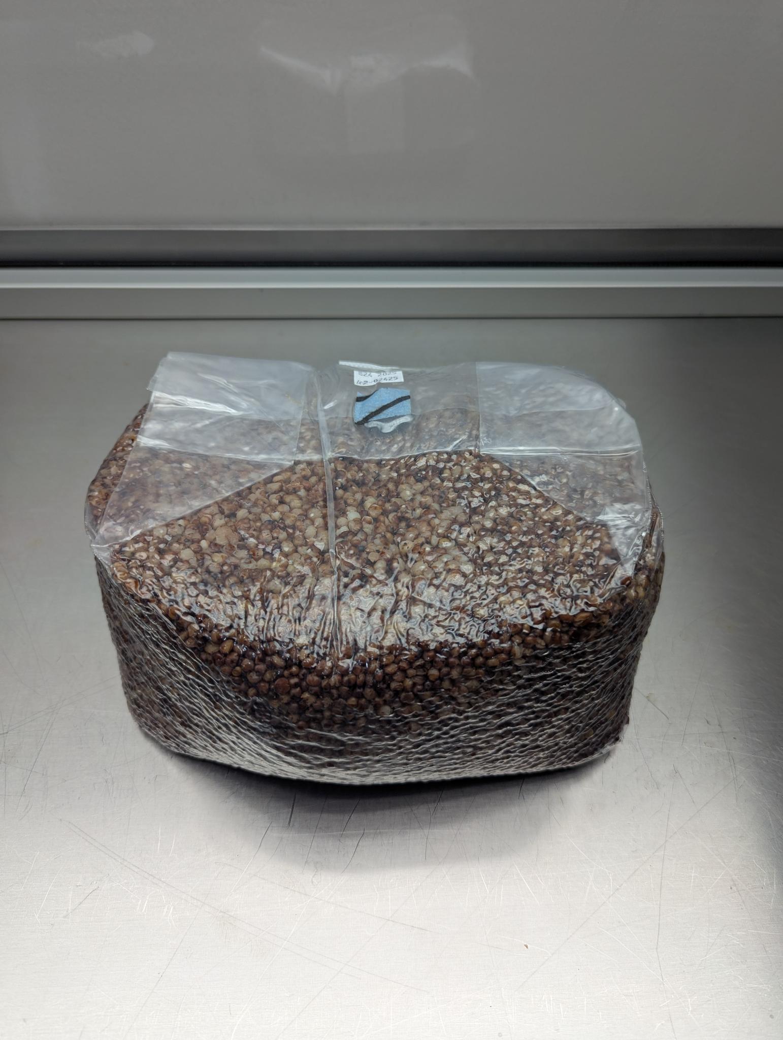 5lb sterile milo sorghum grain spawn mushroom bag with injection port