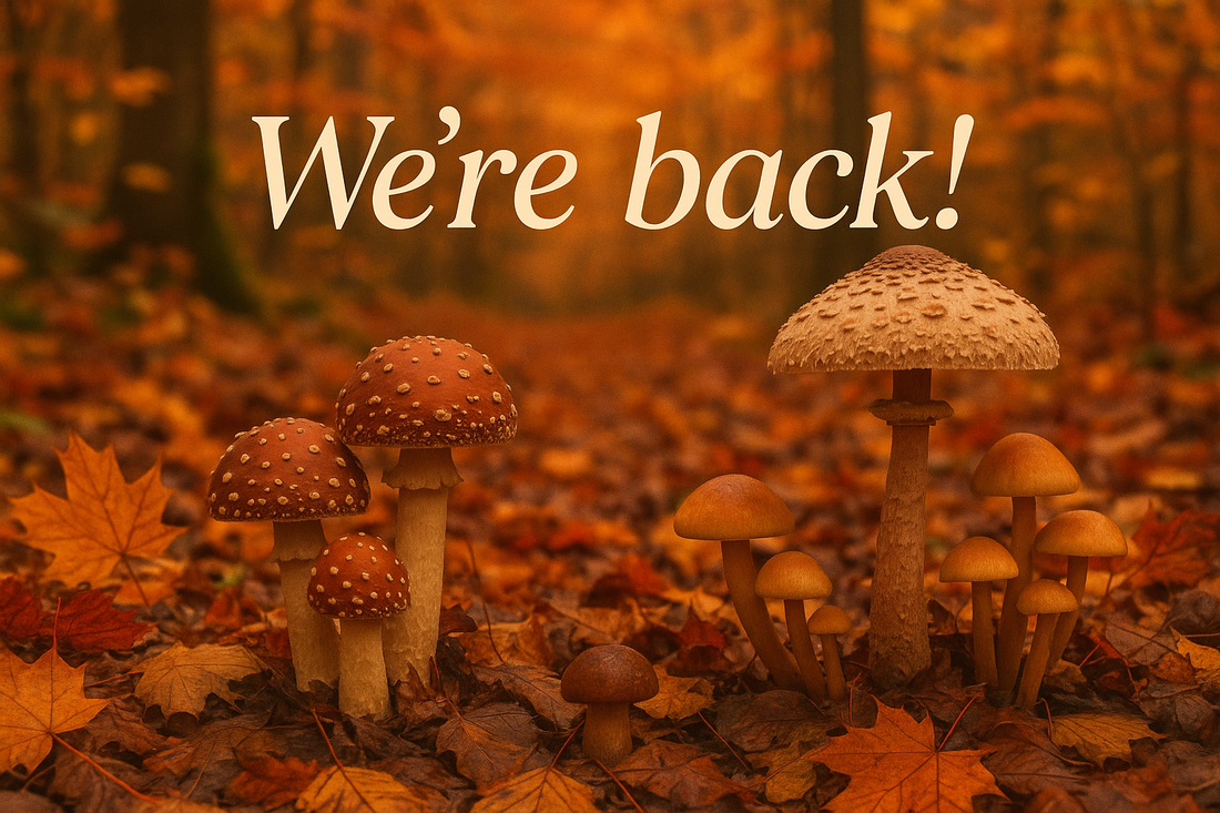 2025 October Newsletter