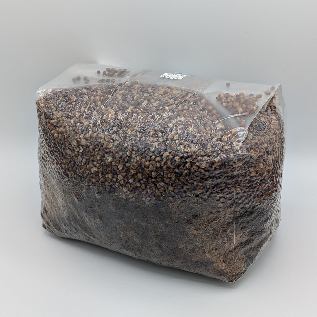 6lb sterilized hardwood all-in-one bag