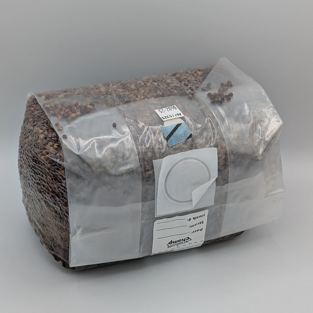 6lb sterilized hardwood all-in-one bag