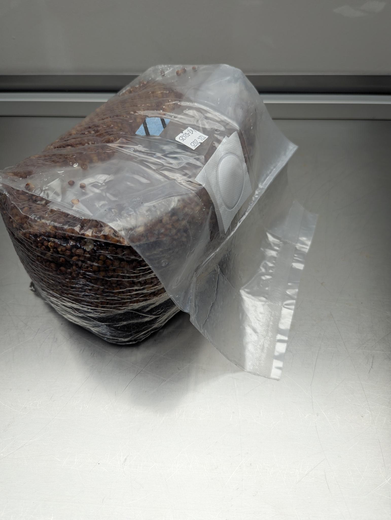 6lb all-in-one mushroom grow bag with coco coir substrate and milo sorghum grain