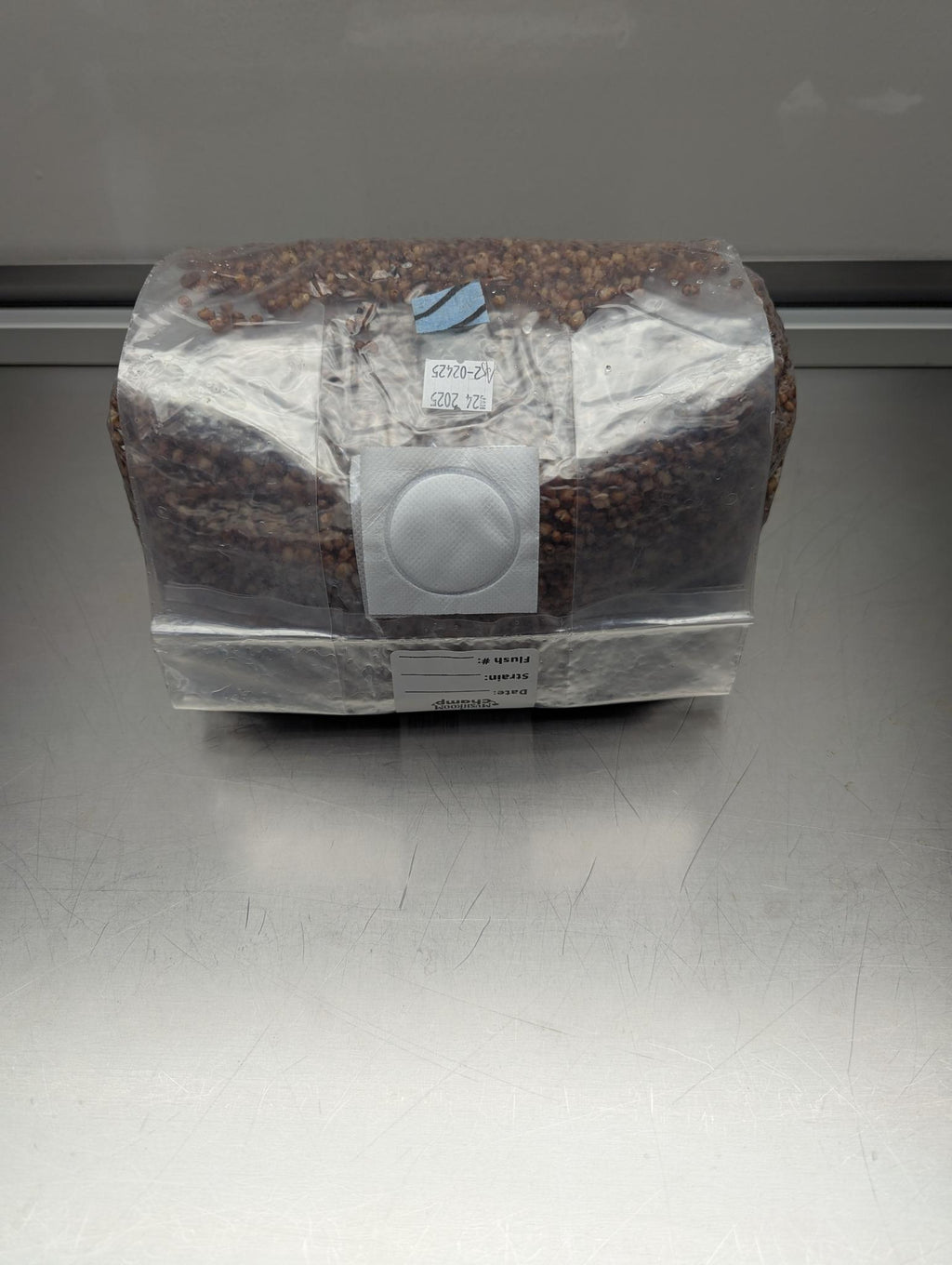 6lb all-in-one mushroom grow bag with coco coir substrate and milo sorghum grain