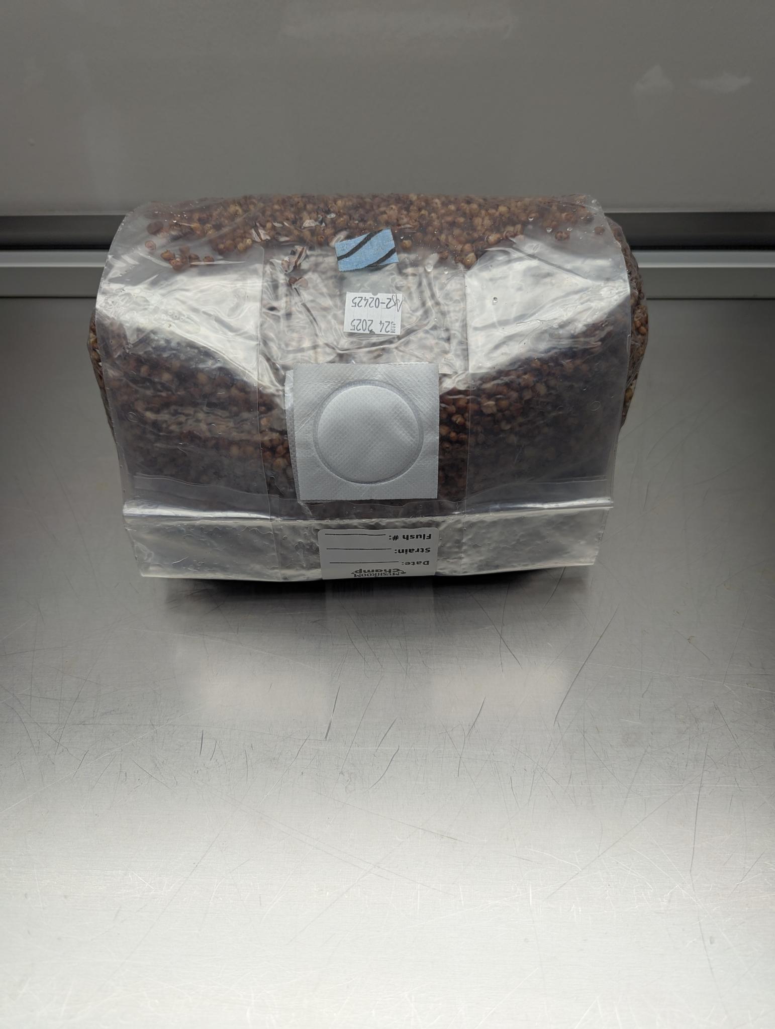6lb all-in-one mushroom grow bag with coco coir substrate and milo sorghum grain