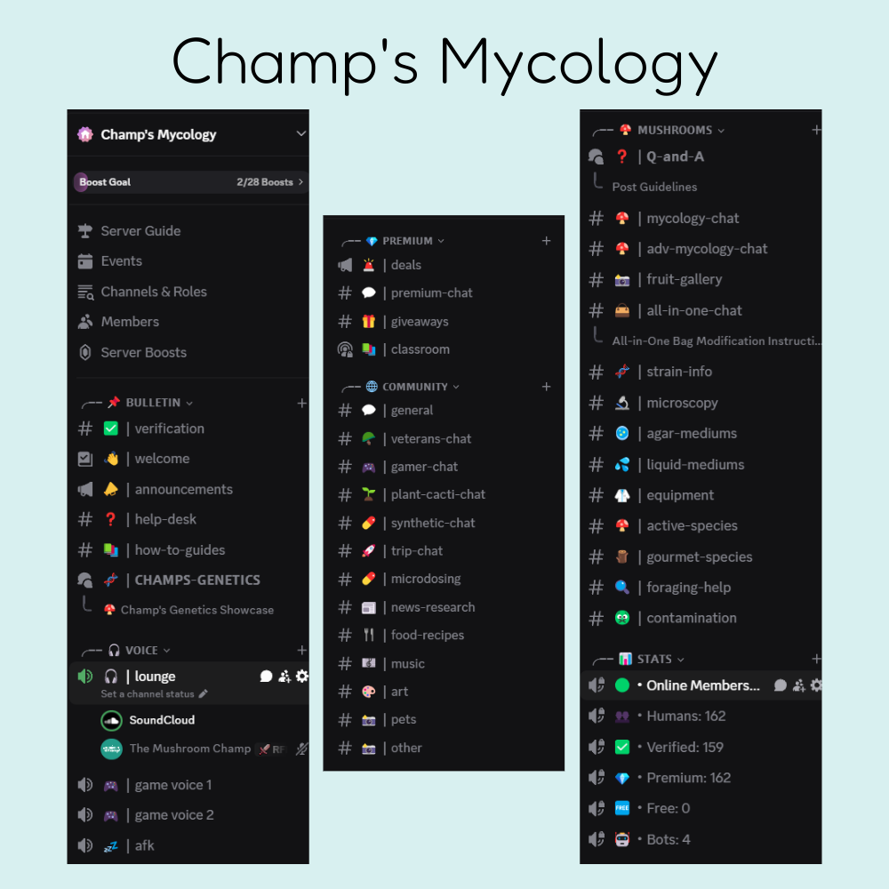 Discord de Micología de Champ - Acceso Premium a la Comunidad