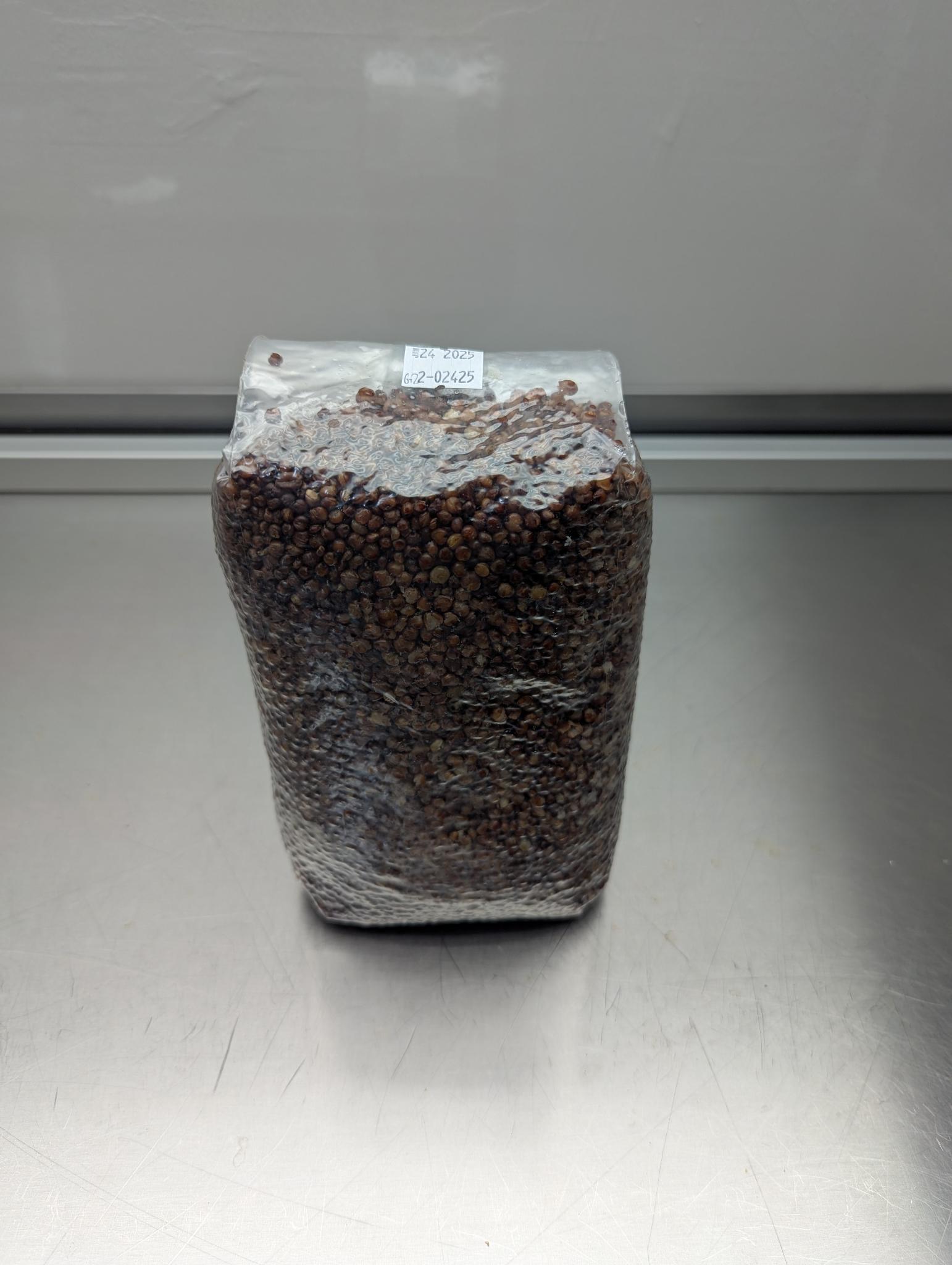 2.5lb sterile milo sorghum grain spawn mushroom bag with injection port