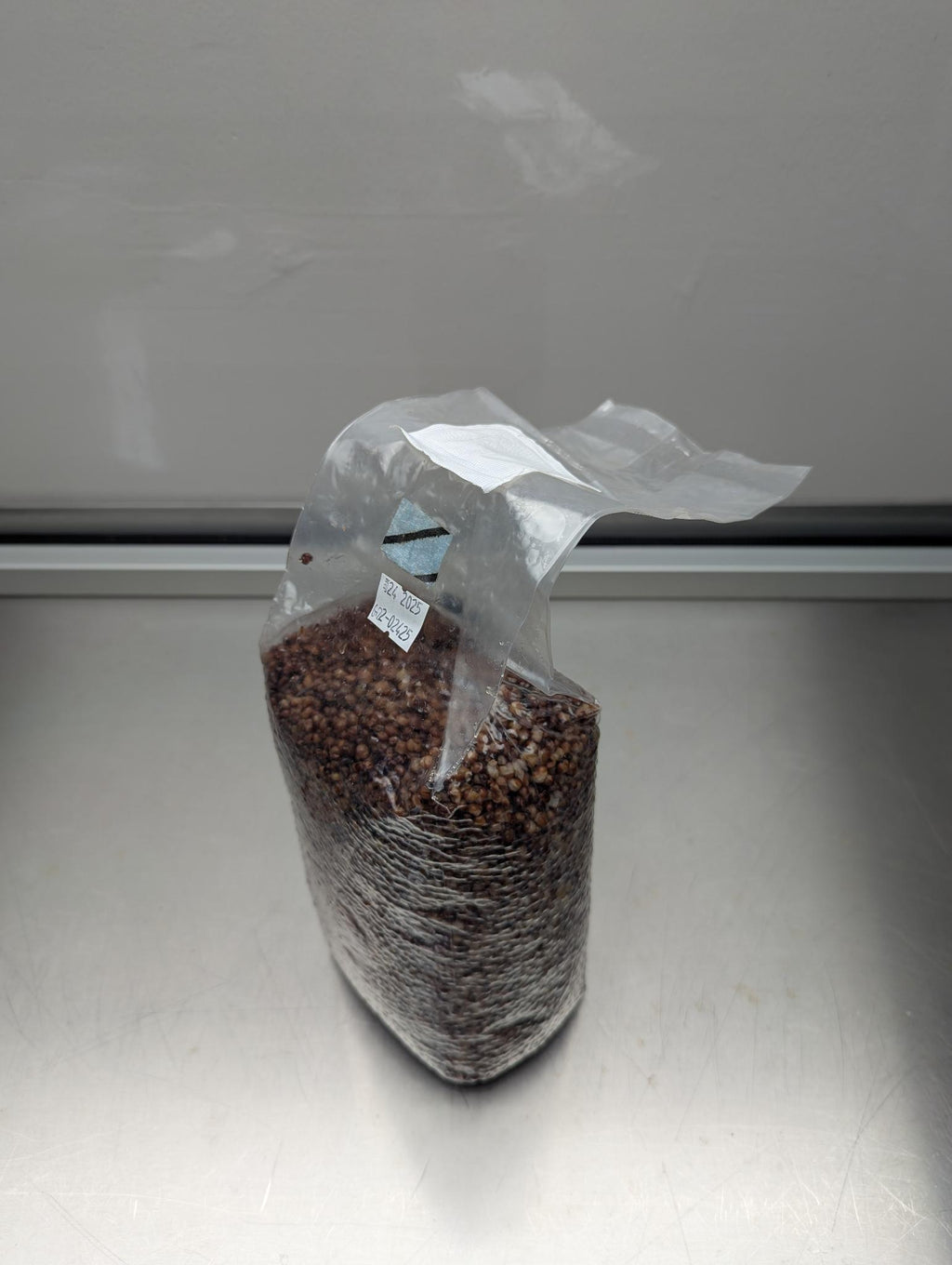 2.5lb sterile milo sorghum grain spawn mushroom bag with injection port