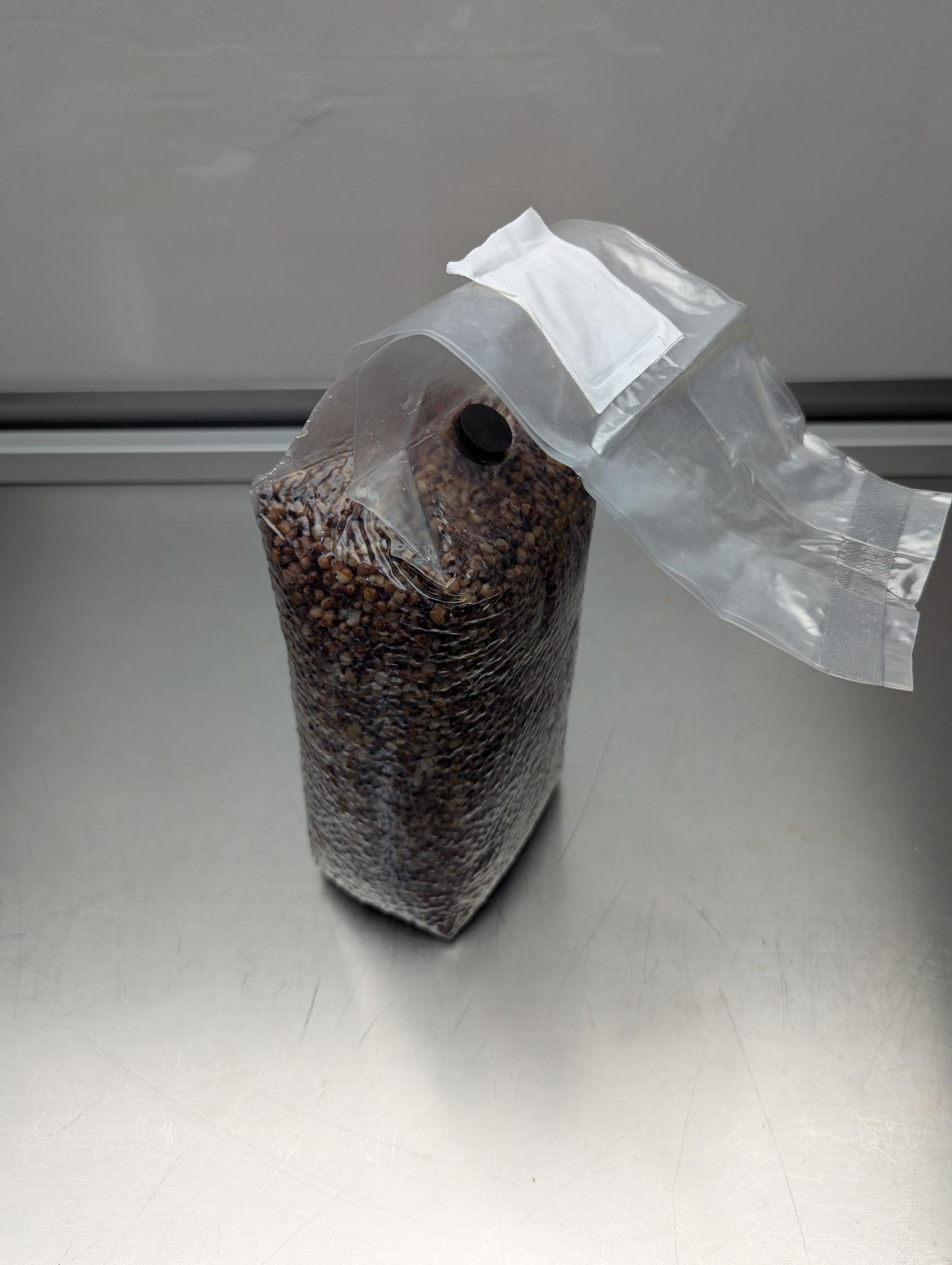 2.5lb sterile milo sorghum grain spawn mushroom bag with injection port