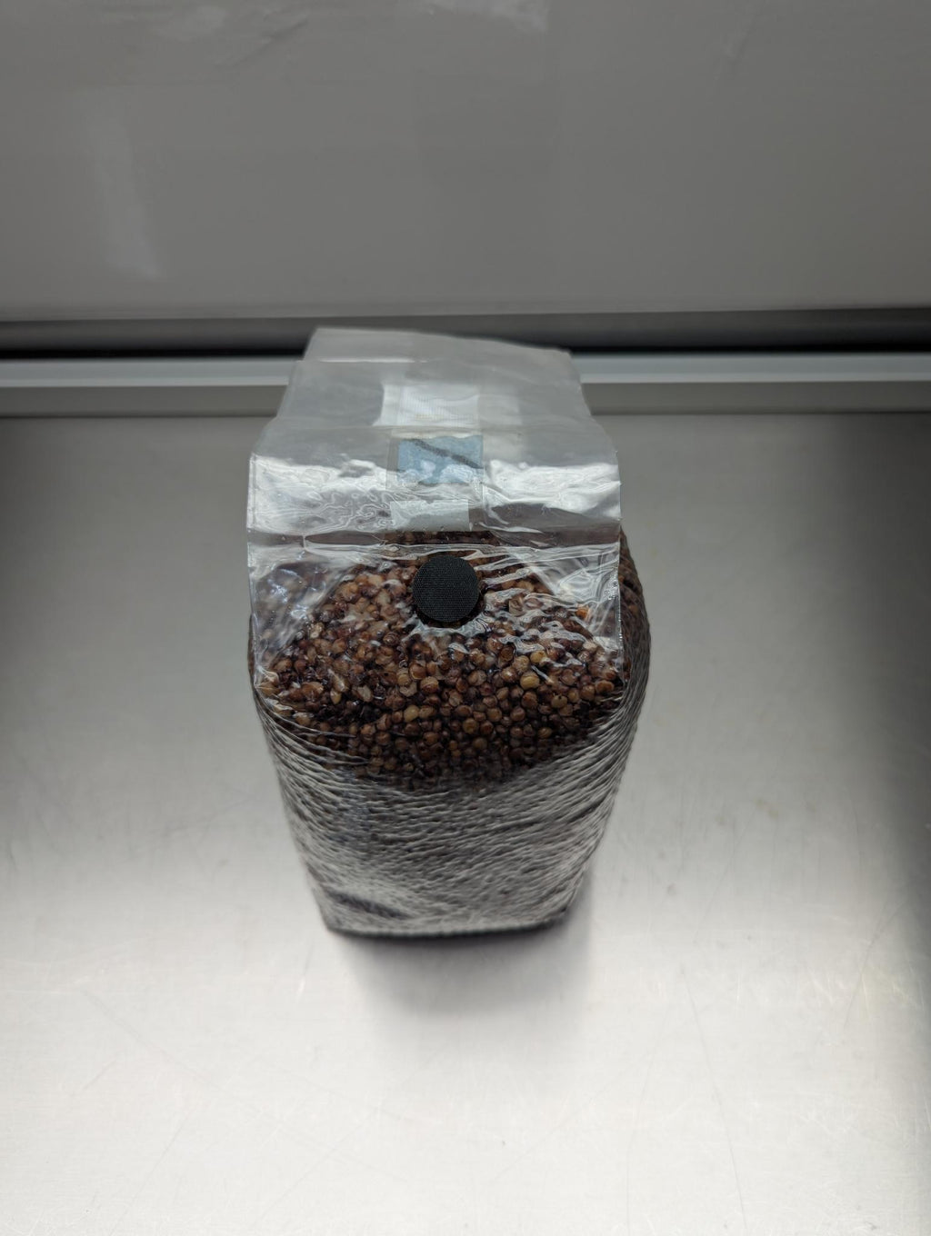 2.5lb sterile milo sorghum grain spawn mushroom bag with injection port