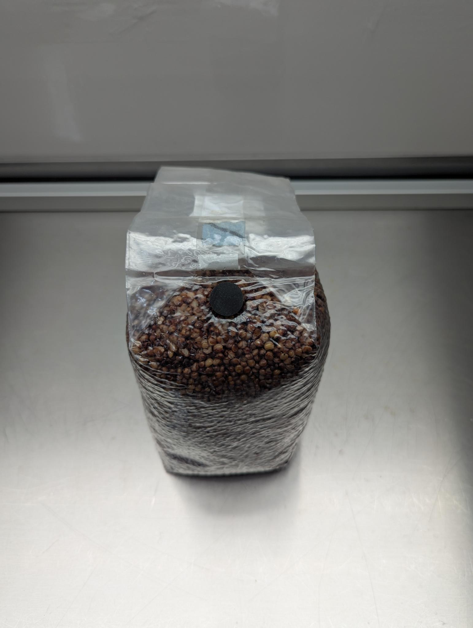2.5lb sterile milo sorghum grain spawn mushroom bag with injection port