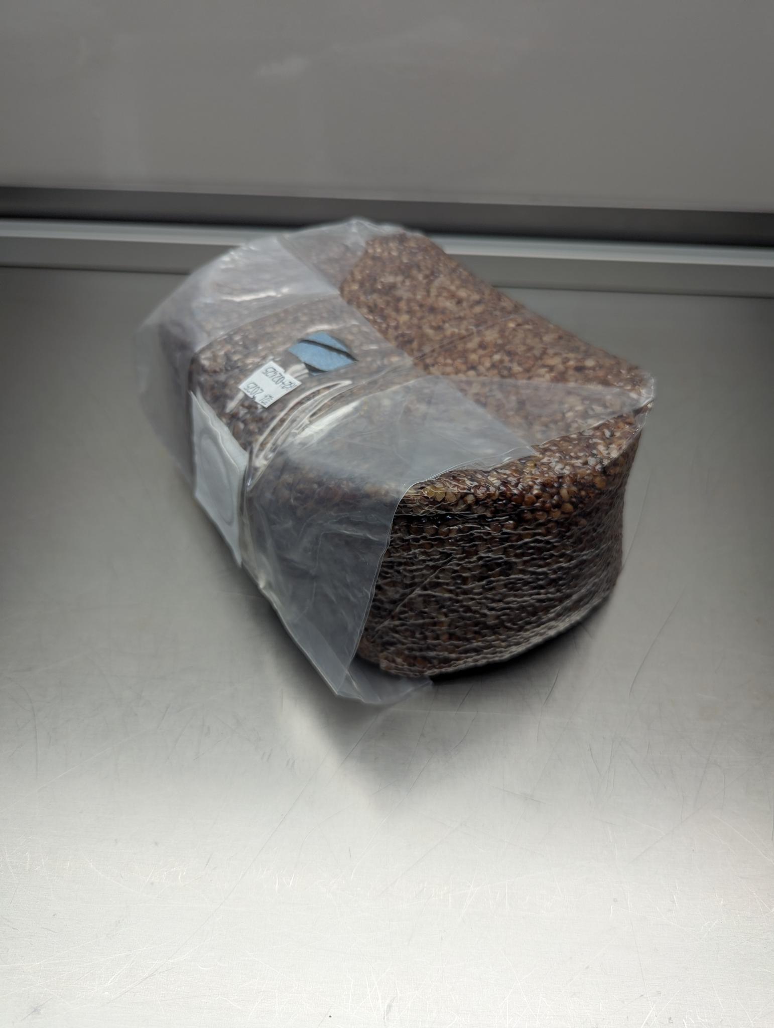 5lb sterile milo sorghum grain spawn mushroom bag with injection port