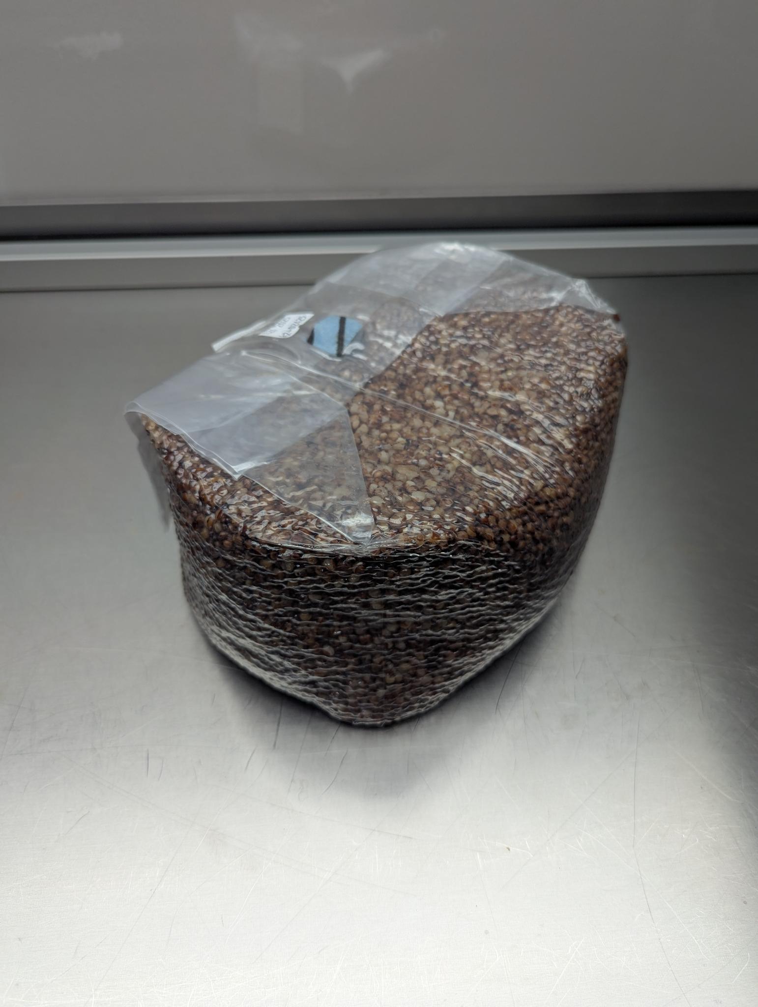 5lb sterile milo sorghum grain spawn mushroom bag with injection port