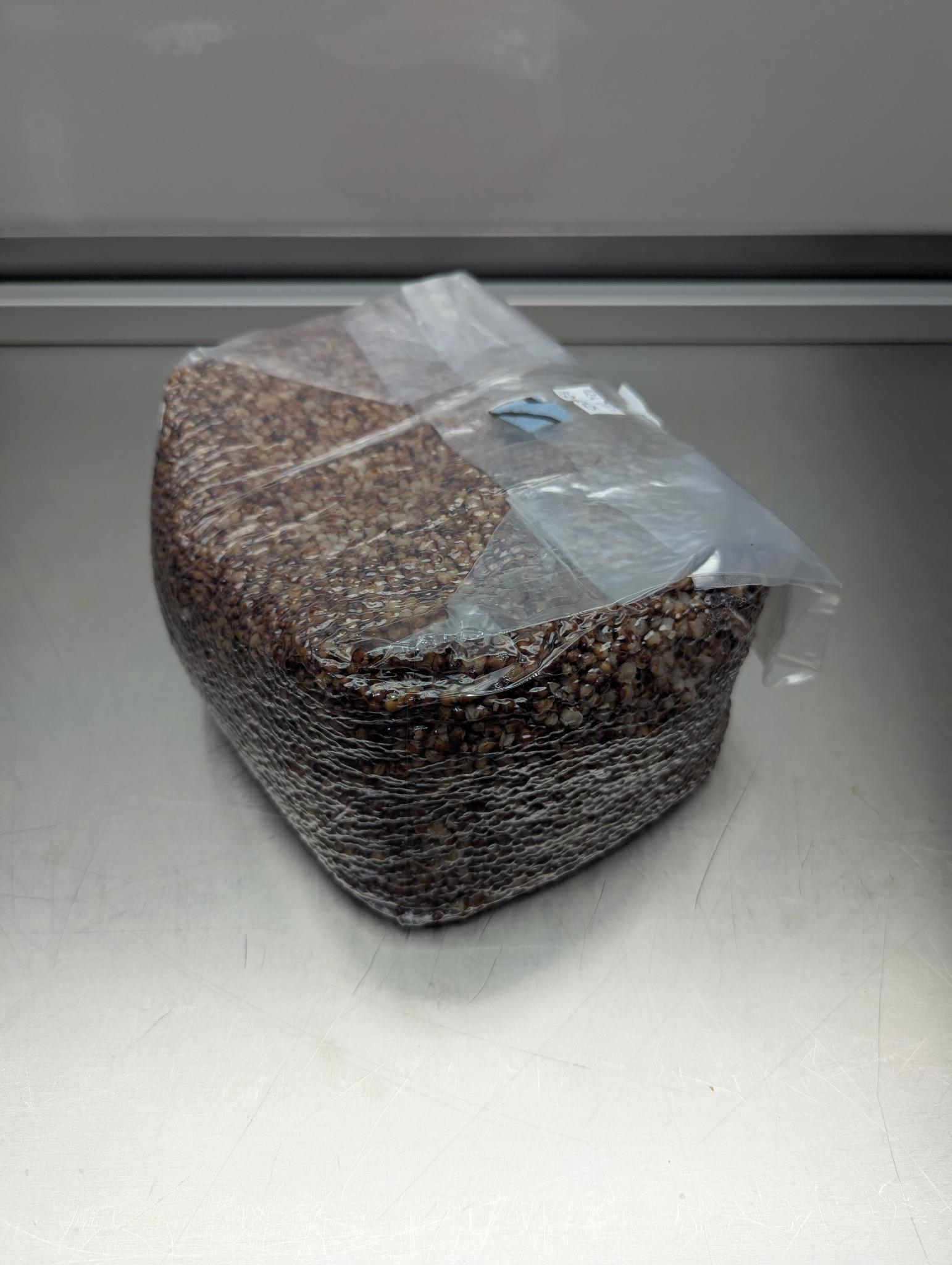 5lb sterile milo sorghum grain spawn mushroom bag with injection port