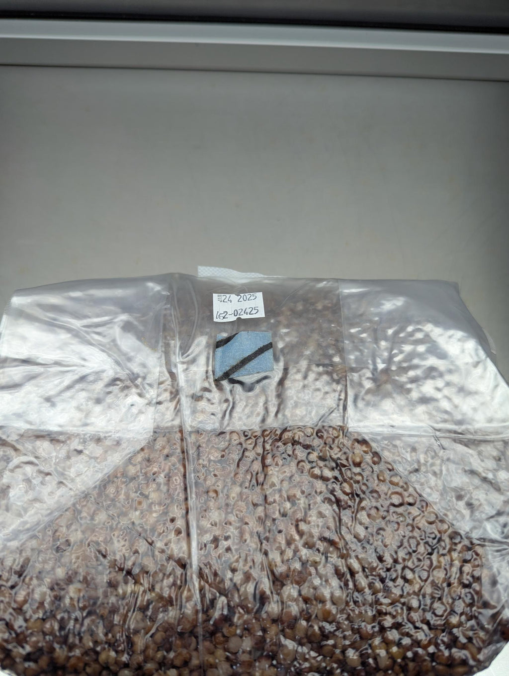 5lb sterile milo sorghum grain spawn mushroom bag with injection port