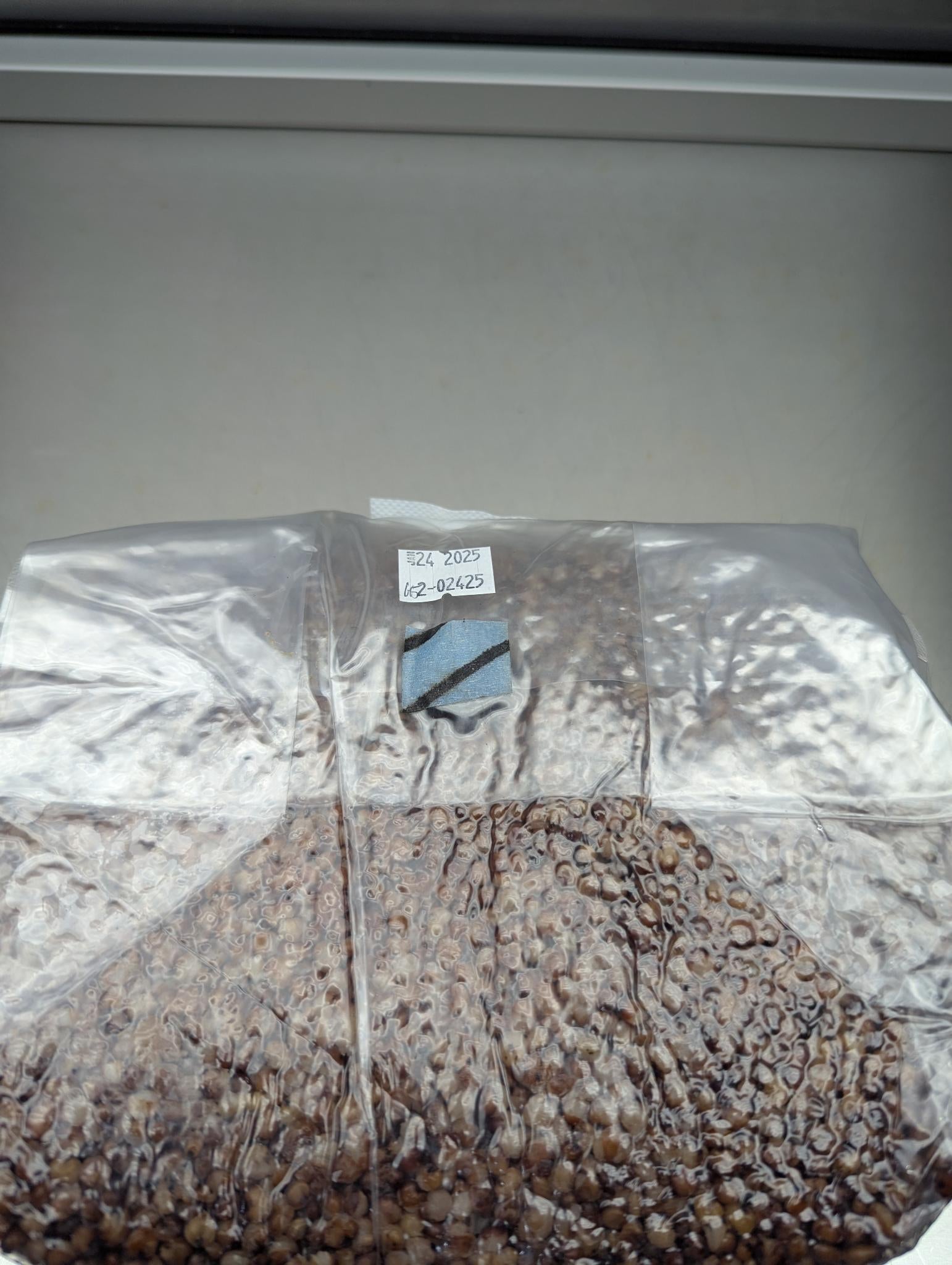 5lb sterile milo sorghum grain spawn mushroom bag with injection port
