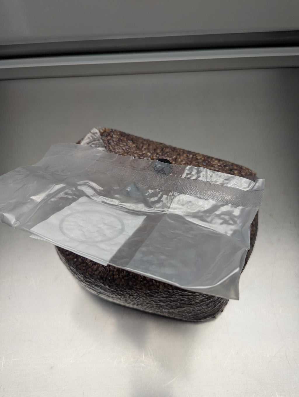 5lb sterile milo sorghum grain spawn mushroom bag with injection port