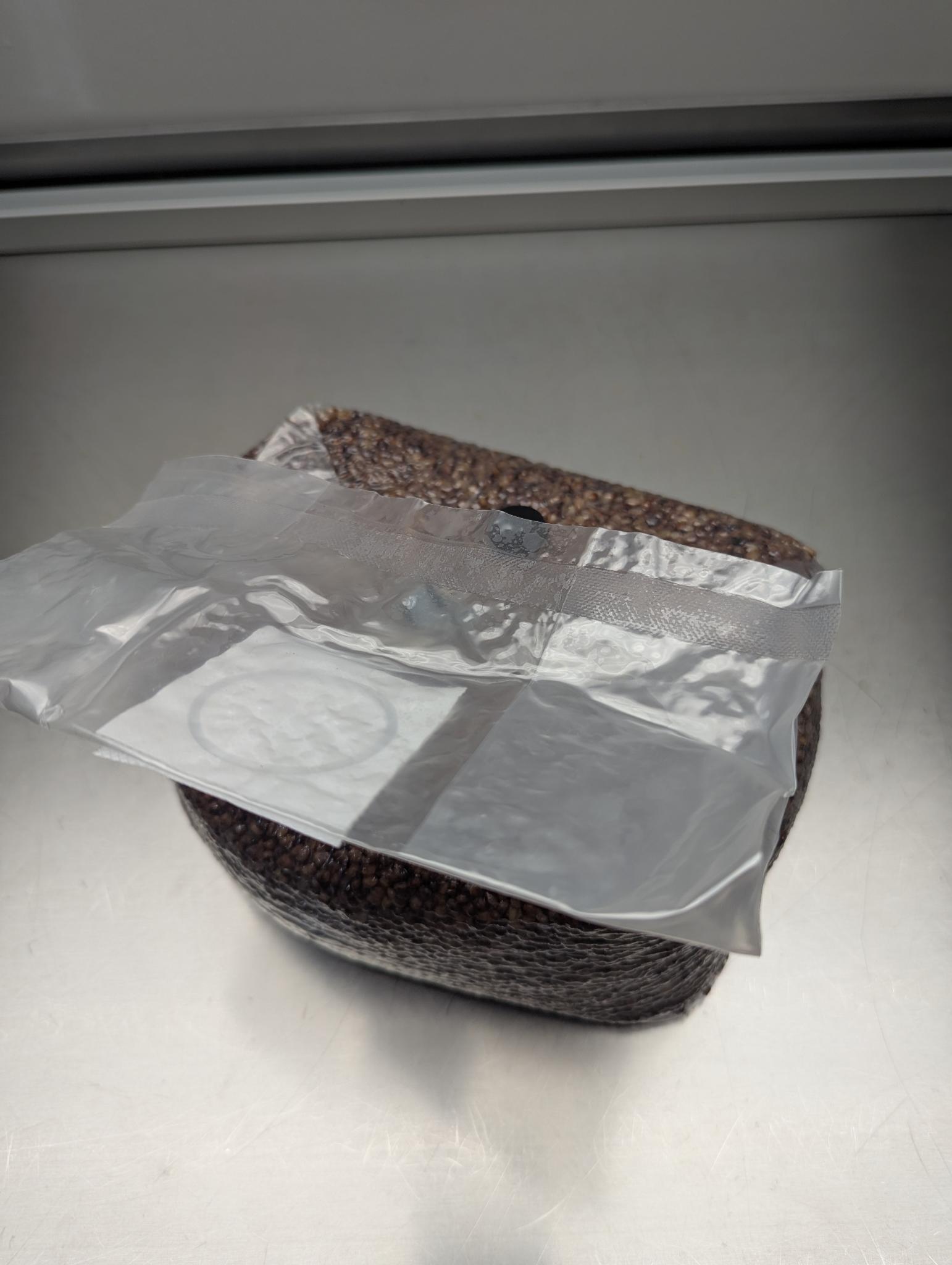5lb sterile milo sorghum grain spawn mushroom bag with injection port