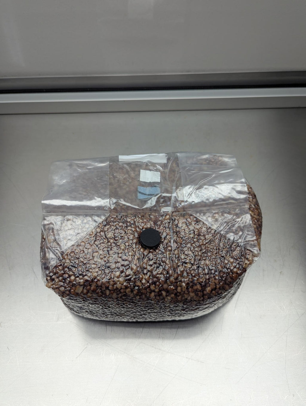 5lb sterile milo sorghum grain spawn mushroom bag with injection port