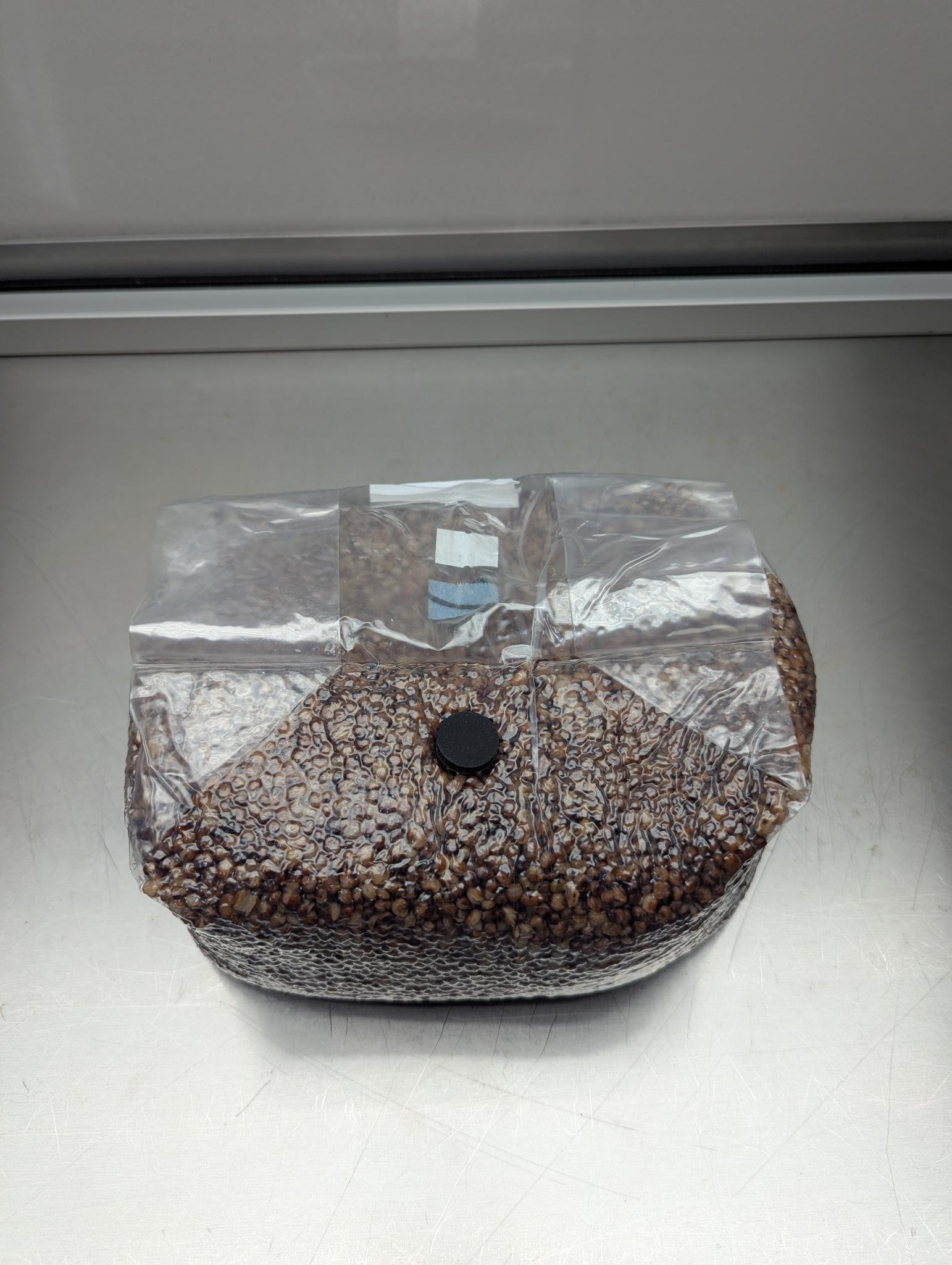 5lb sterile milo sorghum grain spawn mushroom bag with injection port