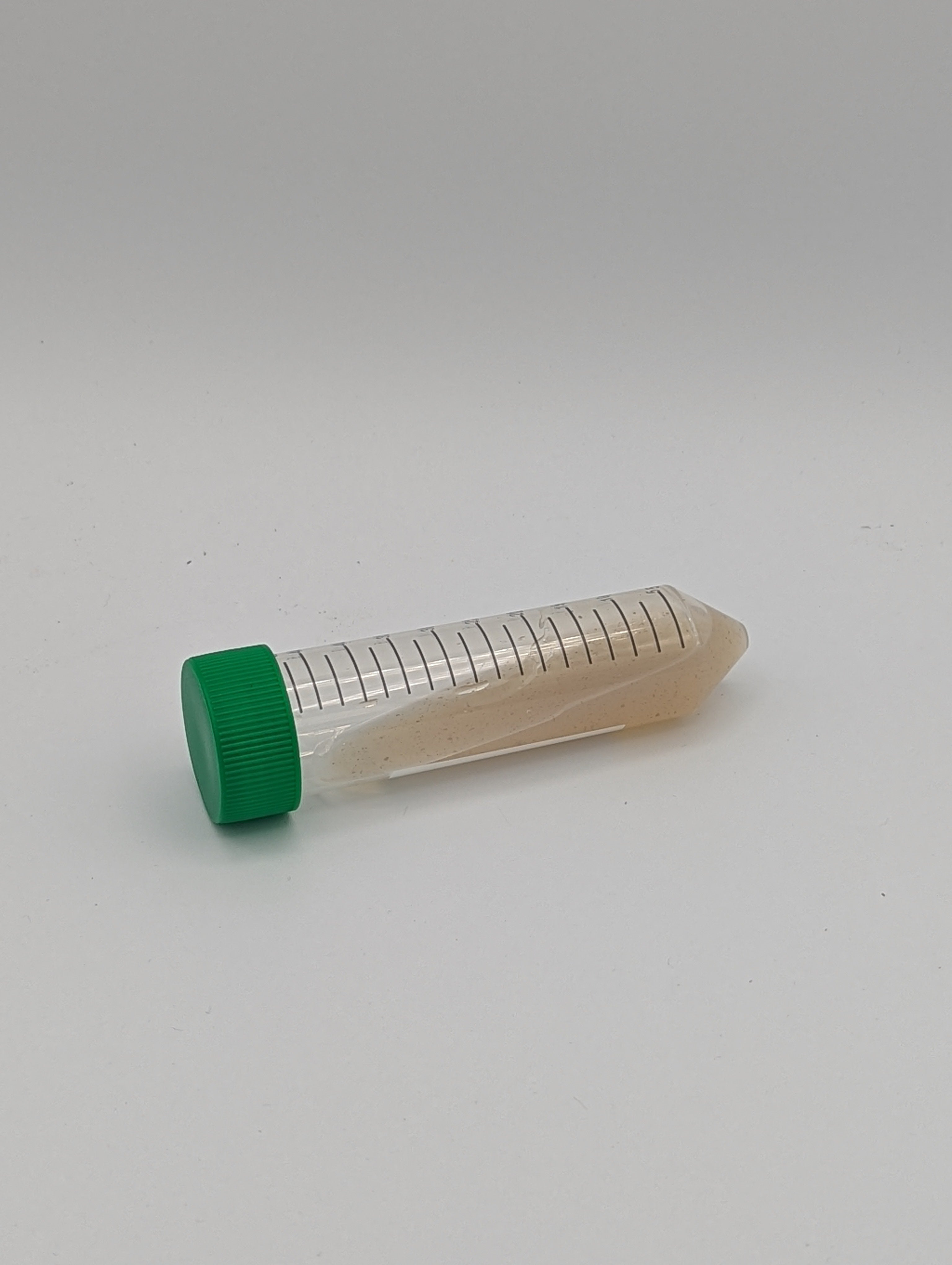 Sterile potato dextrose agar slant in 50ml centrifuge tube.