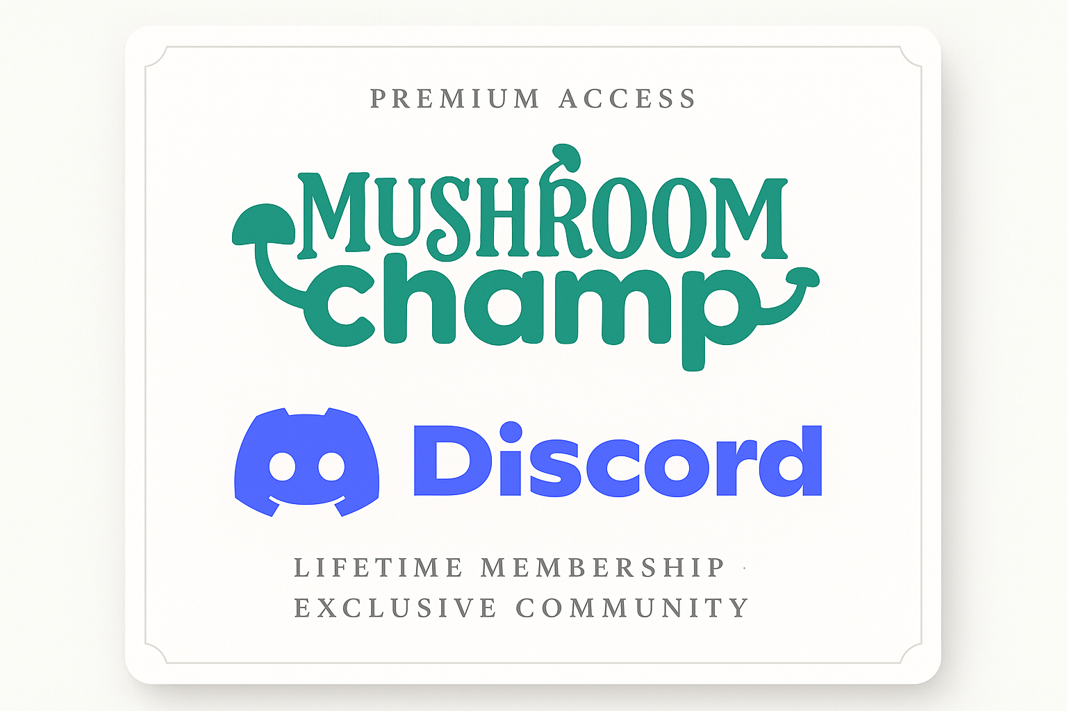 Premium Discord Access Product Image with Light Background