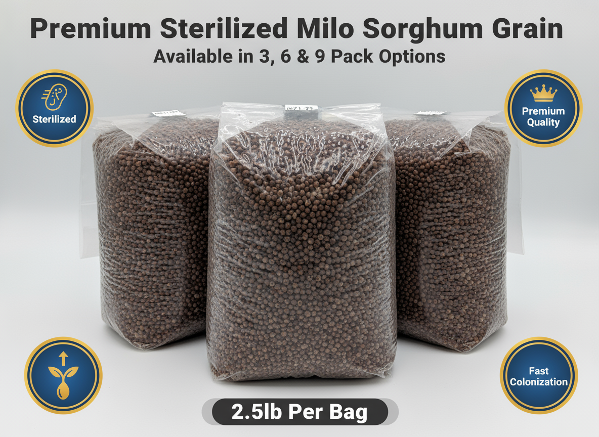 Premium Milo Sorghum Grain Product Marketing