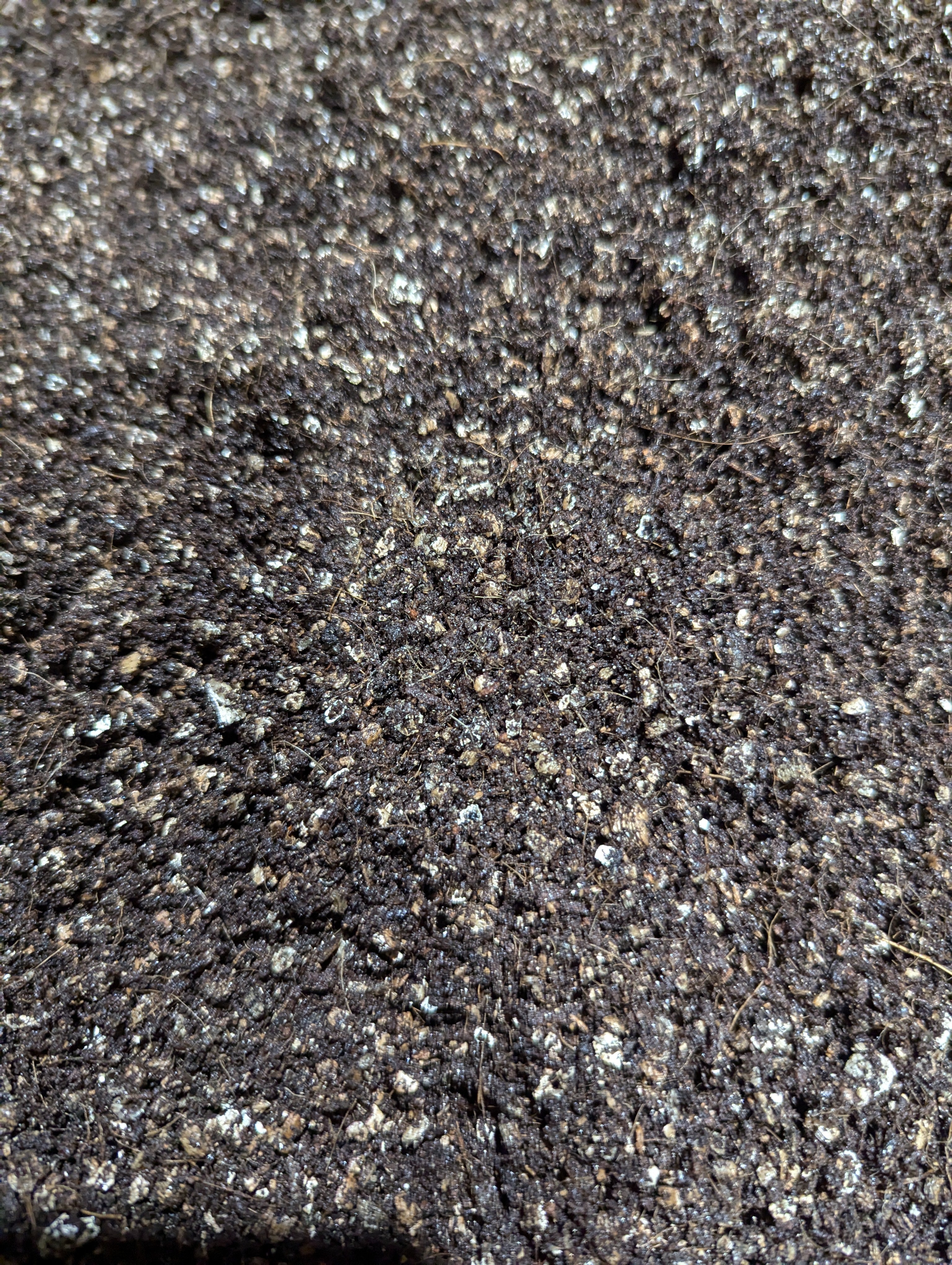 3lb Sterilized Coco Coir Based Substrate - CVGA