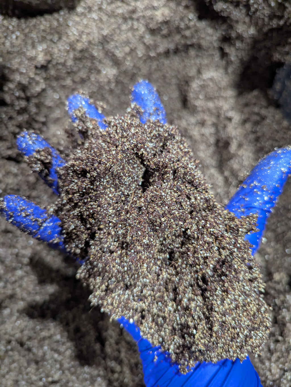 3lb Sterilized Coco Coir Based Substrate - CVGA